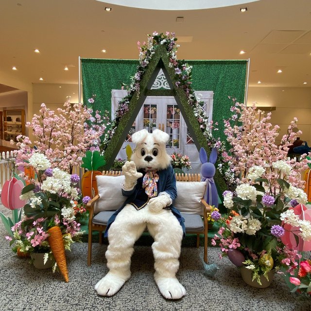 Instagram Image